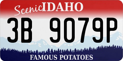 ID license plate 3B9079P