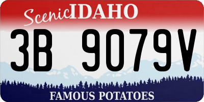 ID license plate 3B9079V