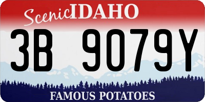 ID license plate 3B9079Y
