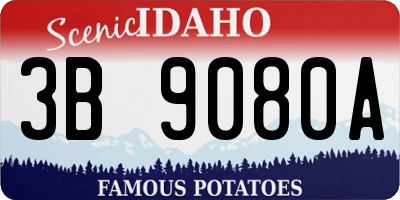 ID license plate 3B9080A