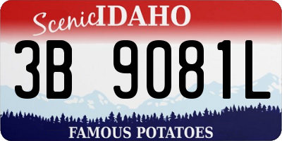 ID license plate 3B9081L