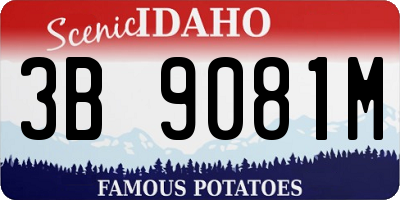 ID license plate 3B9081M