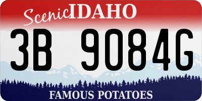 ID license plate 3B9084G