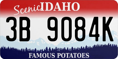 ID license plate 3B9084K