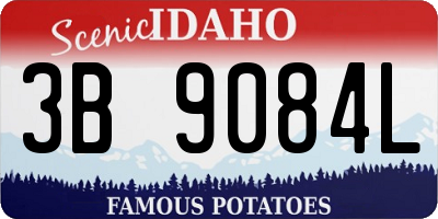 ID license plate 3B9084L