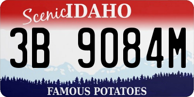 ID license plate 3B9084M