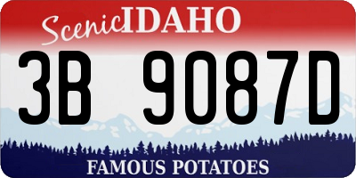 ID license plate 3B9087D