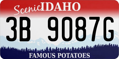 ID license plate 3B9087G