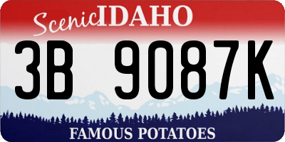 ID license plate 3B9087K