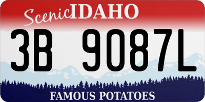 ID license plate 3B9087L