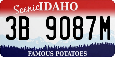 ID license plate 3B9087M