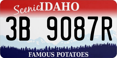 ID license plate 3B9087R