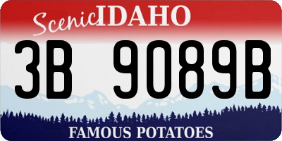 ID license plate 3B9089B