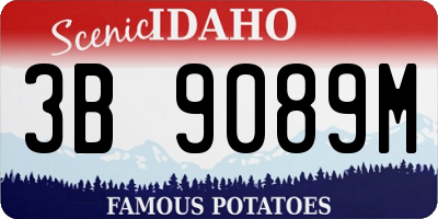 ID license plate 3B9089M