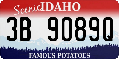 ID license plate 3B9089Q