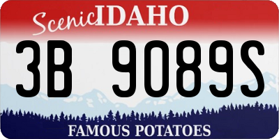 ID license plate 3B9089S