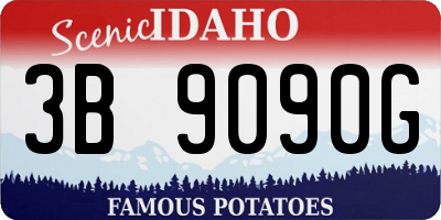 ID license plate 3B9090G