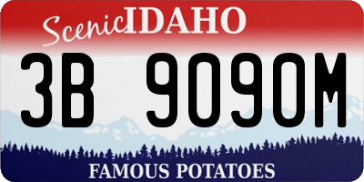 ID license plate 3B9090M