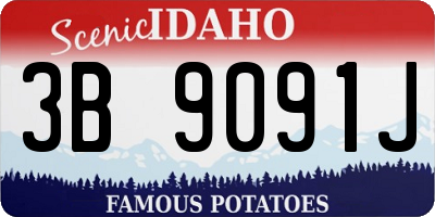 ID license plate 3B9091J