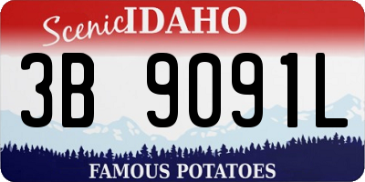 ID license plate 3B9091L