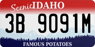 ID license plate 3B9091M