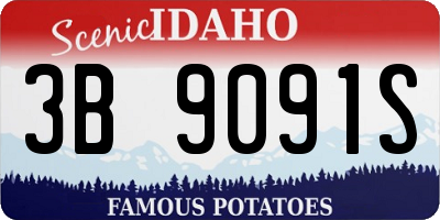 ID license plate 3B9091S