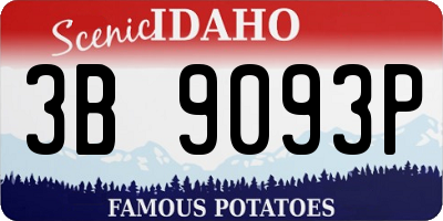 ID license plate 3B9093P