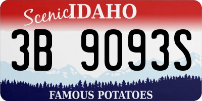 ID license plate 3B9093S