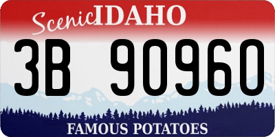 ID license plate 3B9096O