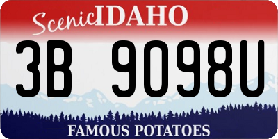 ID license plate 3B9098U