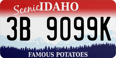 ID license plate 3B9099K