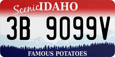 ID license plate 3B9099V