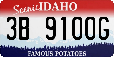 ID license plate 3B9100G