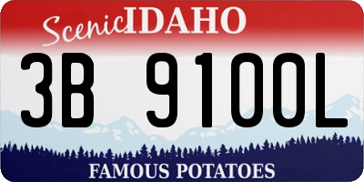 ID license plate 3B9100L