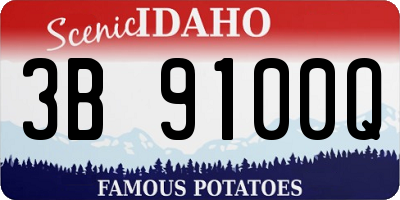 ID license plate 3B9100Q