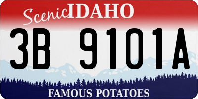 ID license plate 3B9101A