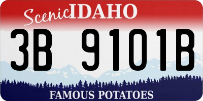 ID license plate 3B9101B