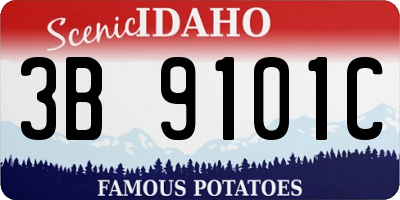 ID license plate 3B9101C