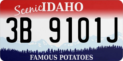 ID license plate 3B9101J