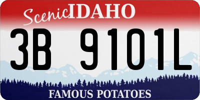 ID license plate 3B9101L