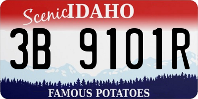 ID license plate 3B9101R