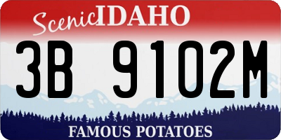 ID license plate 3B9102M