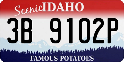 ID license plate 3B9102P