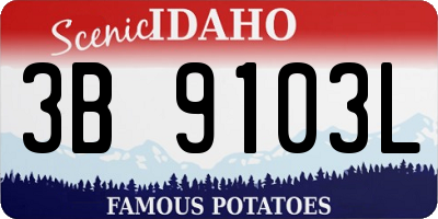ID license plate 3B9103L