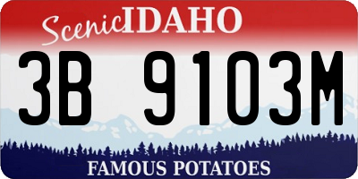 ID license plate 3B9103M