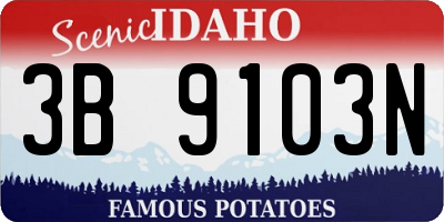 ID license plate 3B9103N