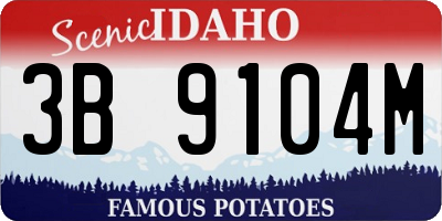 ID license plate 3B9104M