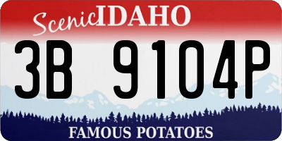 ID license plate 3B9104P
