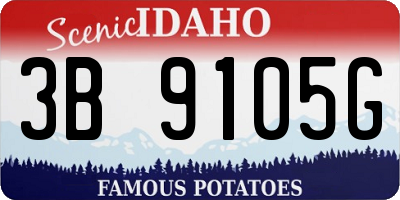 ID license plate 3B9105G