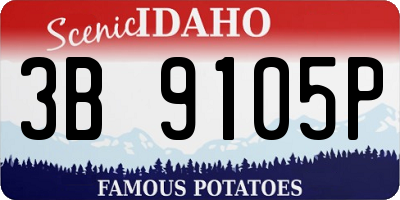 ID license plate 3B9105P